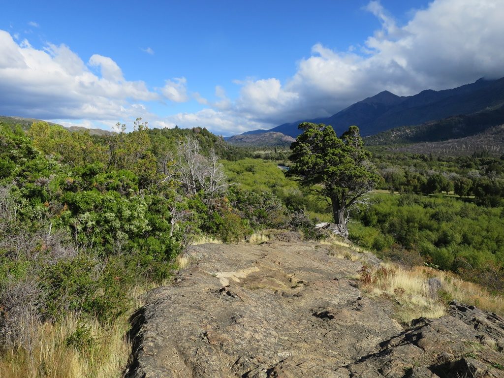 Los Alerces Nationalpark