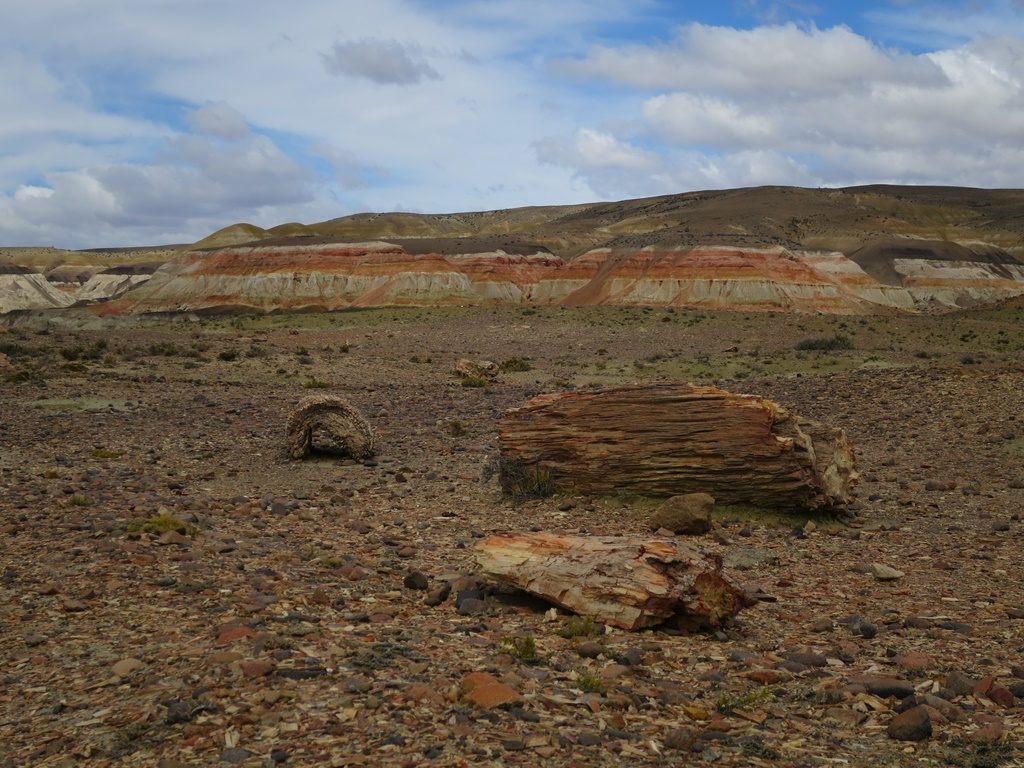 Bosque Perificado Nationalpark