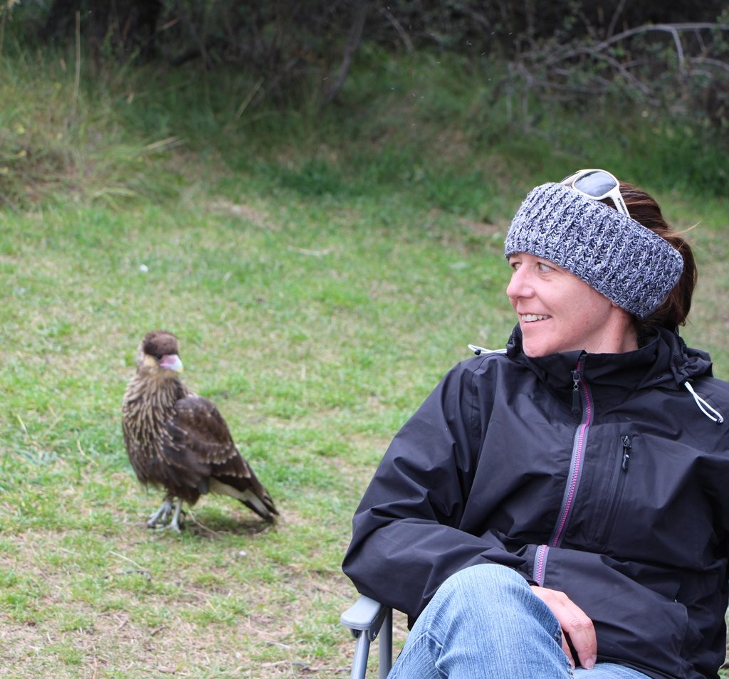 Torres del Paine Nationalpark