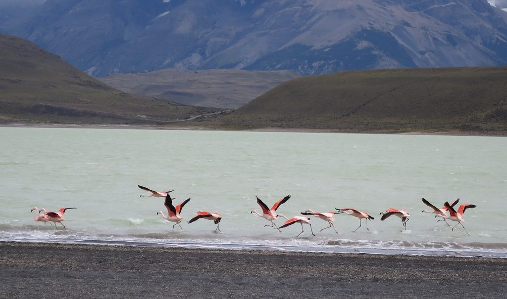 Torres del Paine Nationalpark