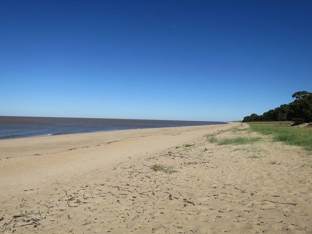 Wildes Campieren am Strand