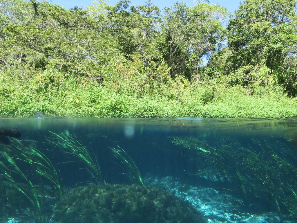 Bonito - Rio Sucuri