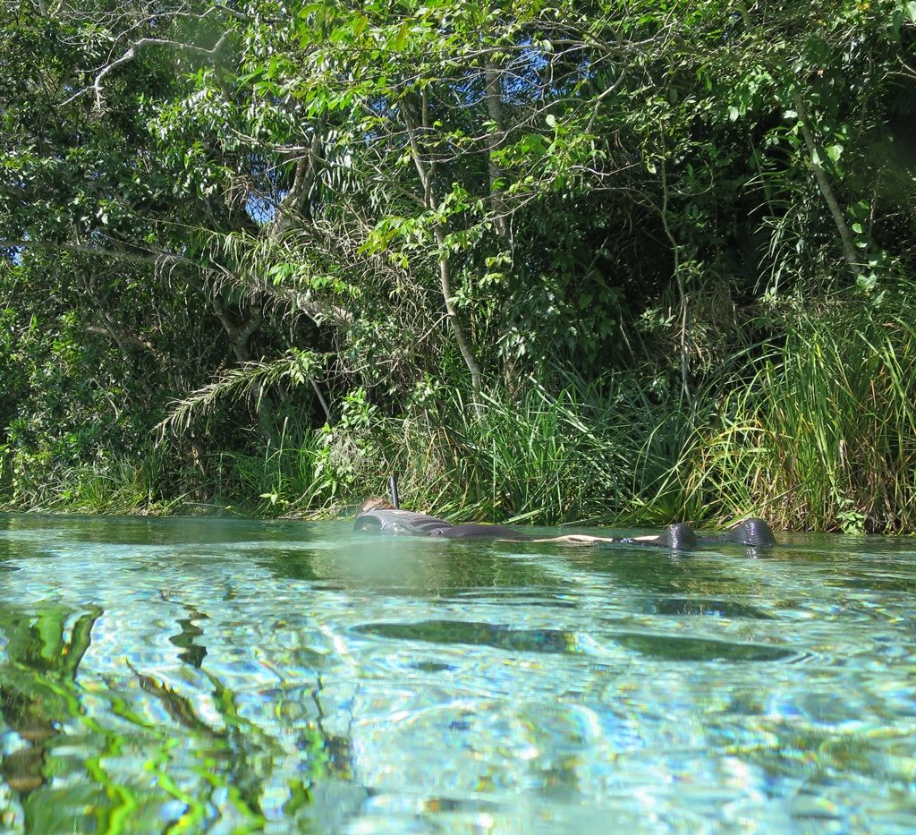 Bonito - Rio Sucuri