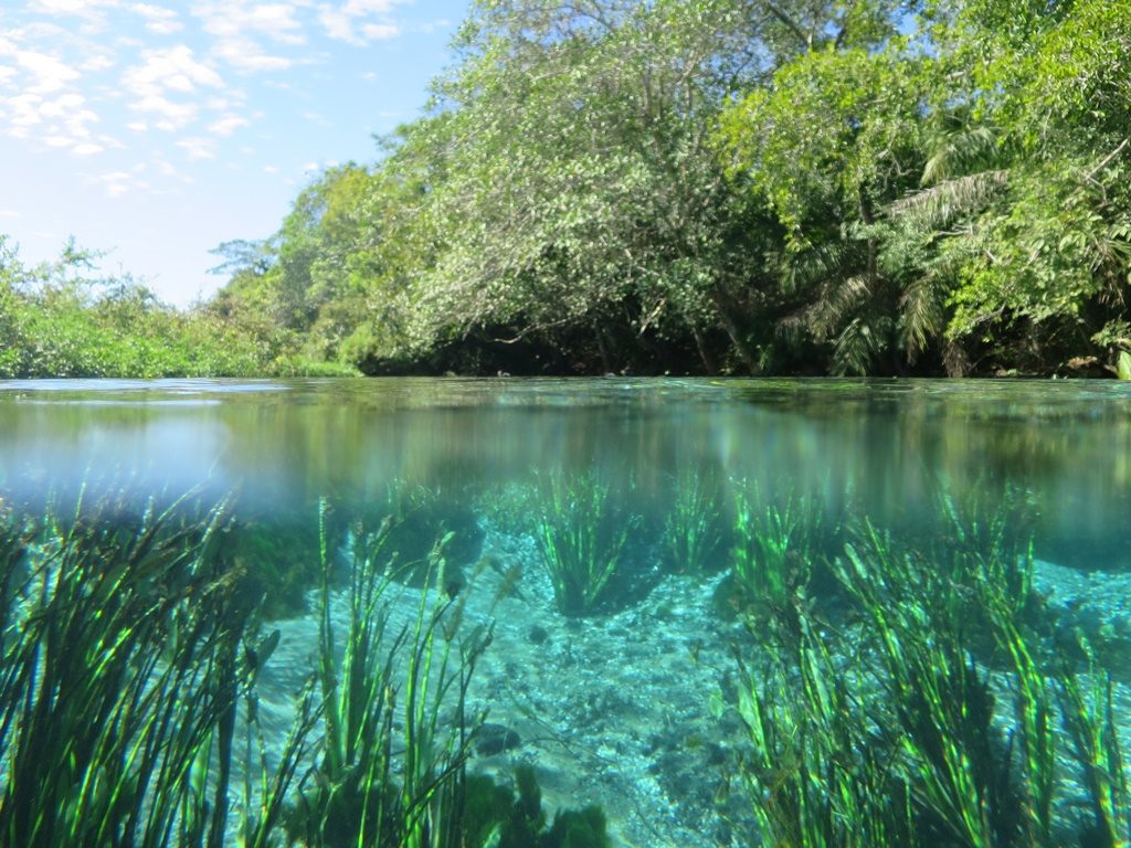 Bonito - Rio Sucuri