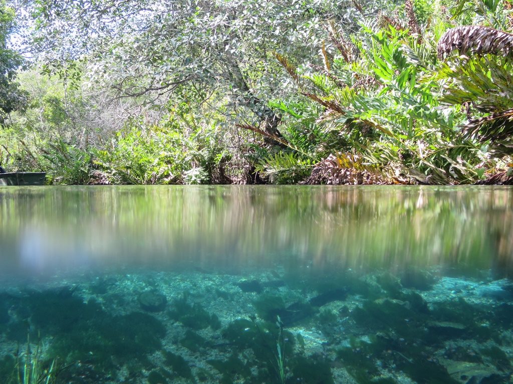 Bonito - Rio Sucuri