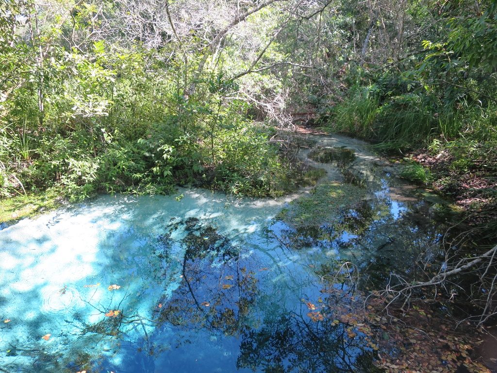 Bonito - Rio Sucuri