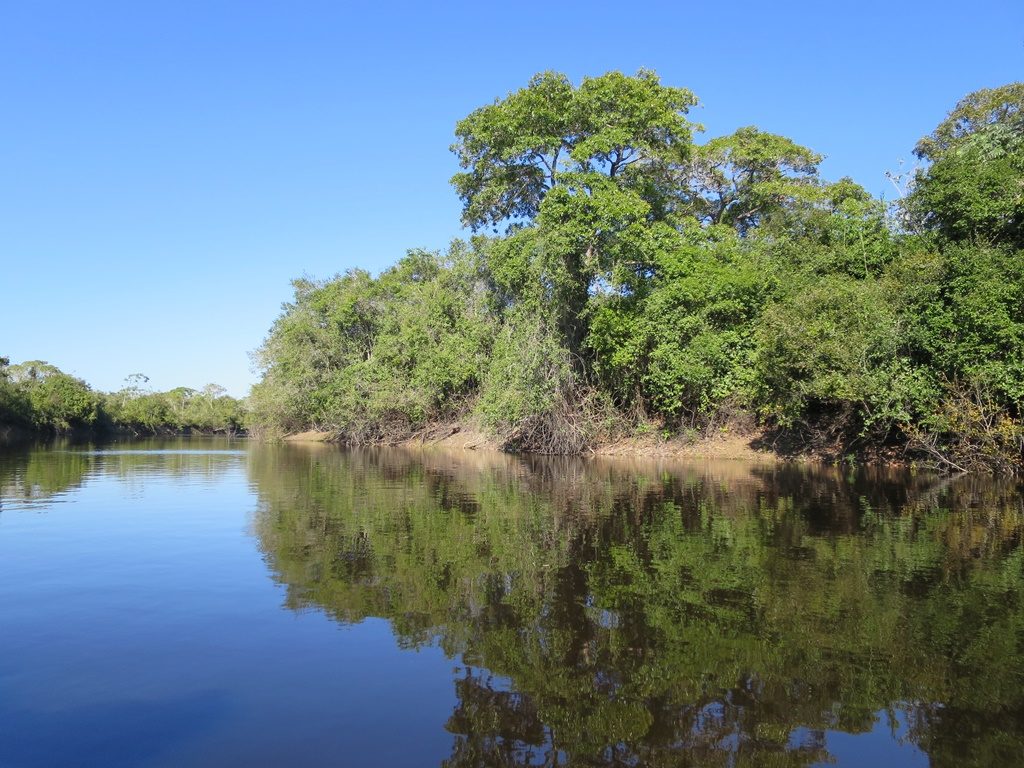 Pantanal