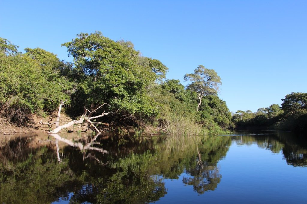 Pantanal