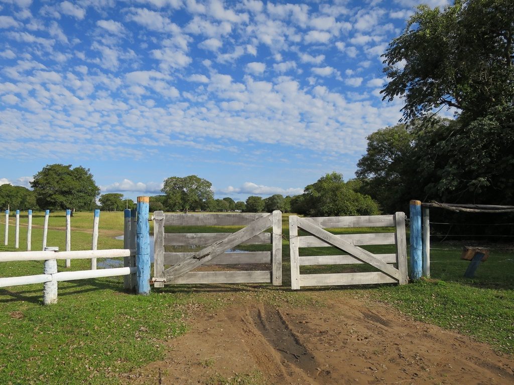 Pantanal - Fazenda Santa Clara