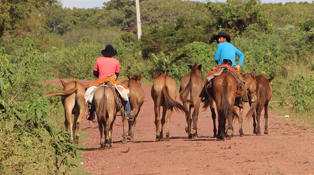 Pantanal - Gauchos