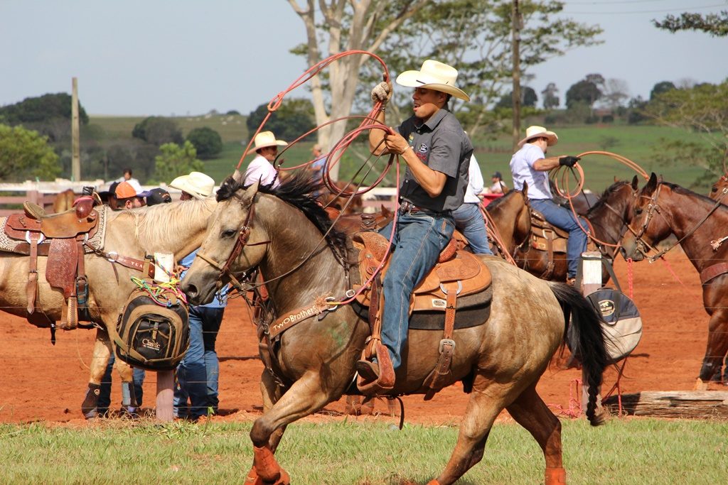 Pantanal - Gaucho