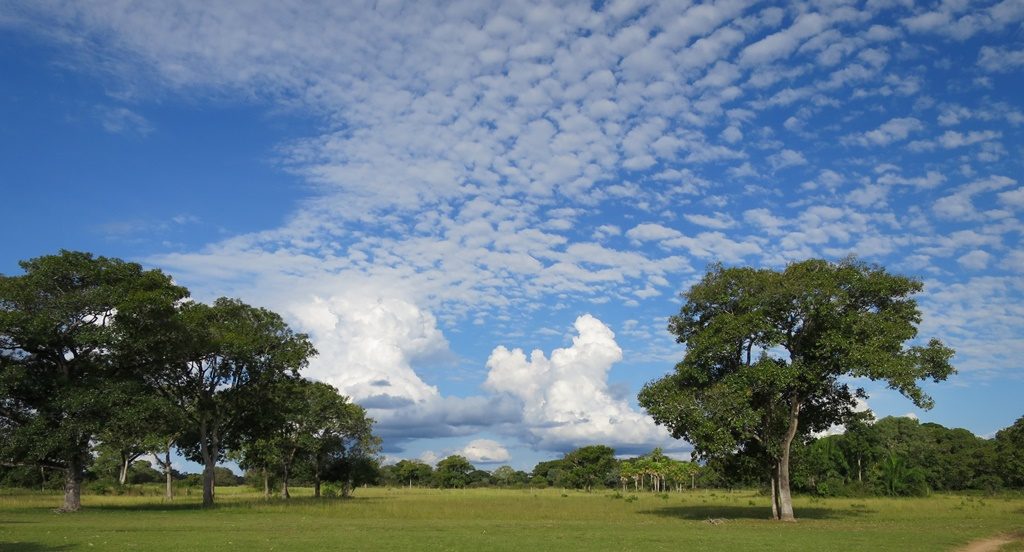 Pantanal - Fazenda Santa Clara