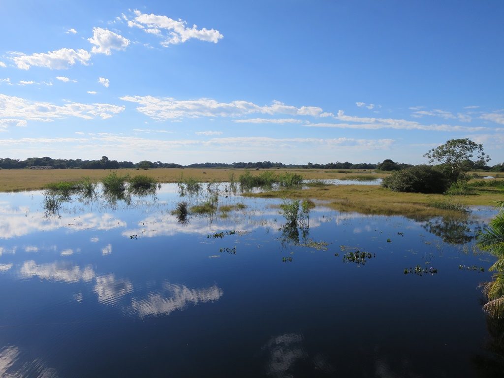 Pantanal 