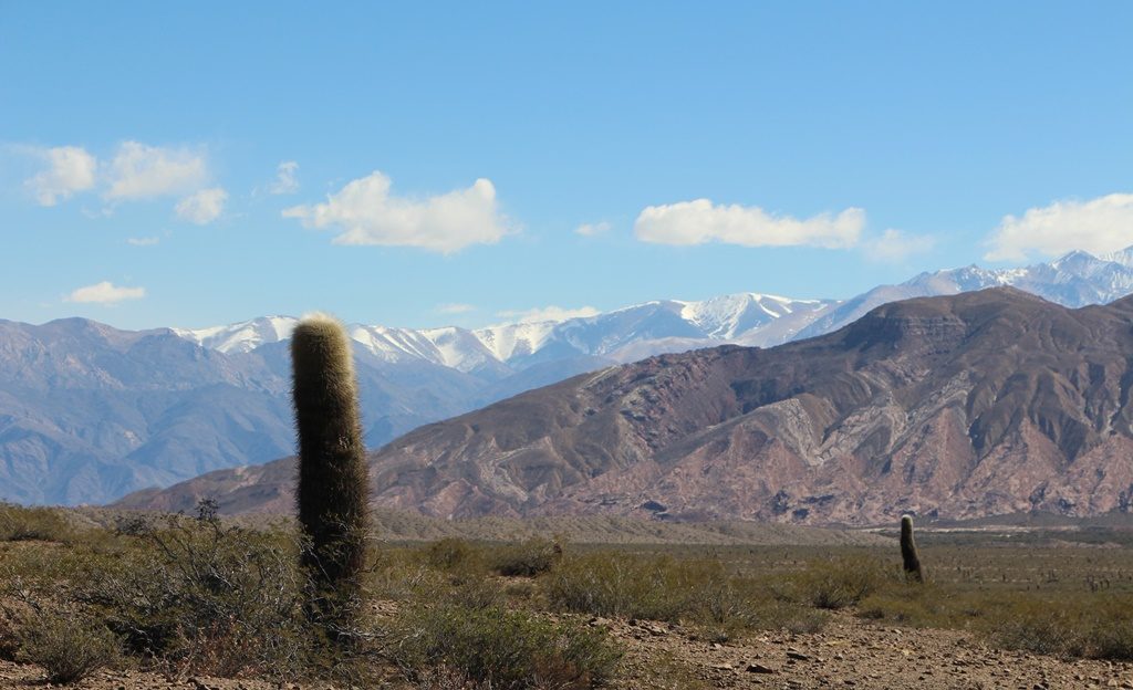 Parque Nacional los Cardones