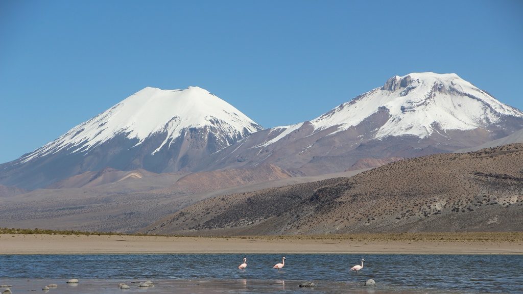 Sajama Nationalpark