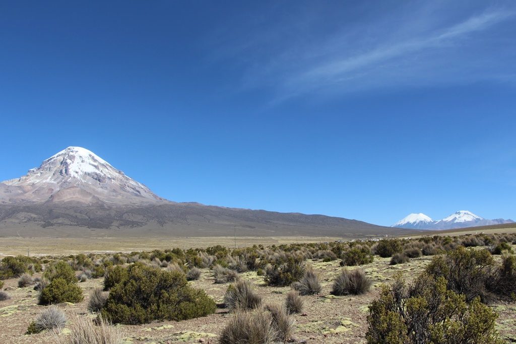 Sajama Nationalpark