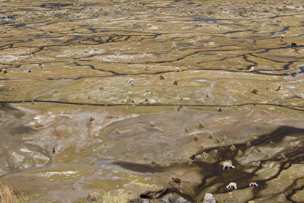 Sajama Nationalpark