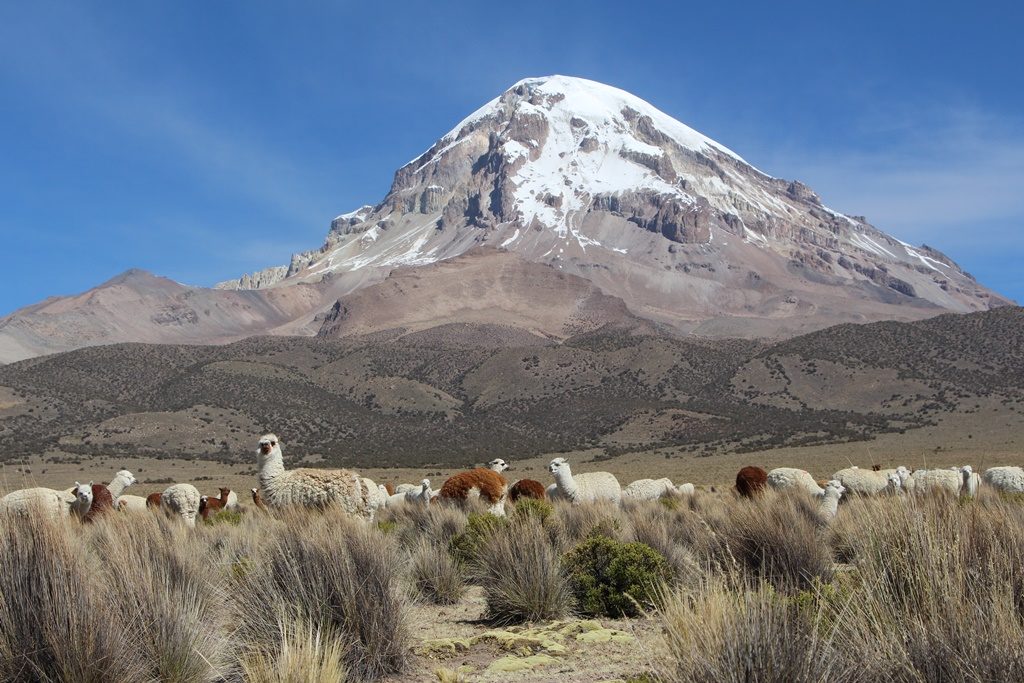 Sajama Nationalpark