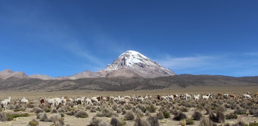 Sajama Nationalpark