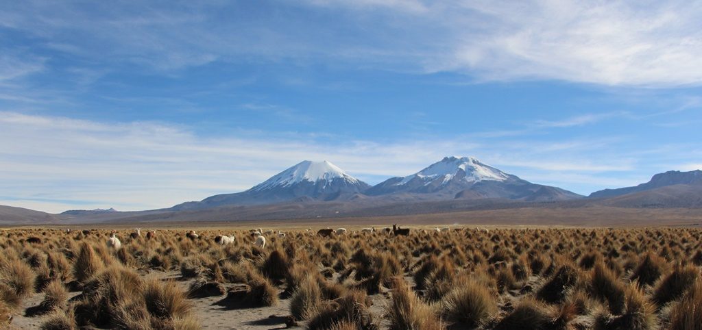 Sajama Nationalpark