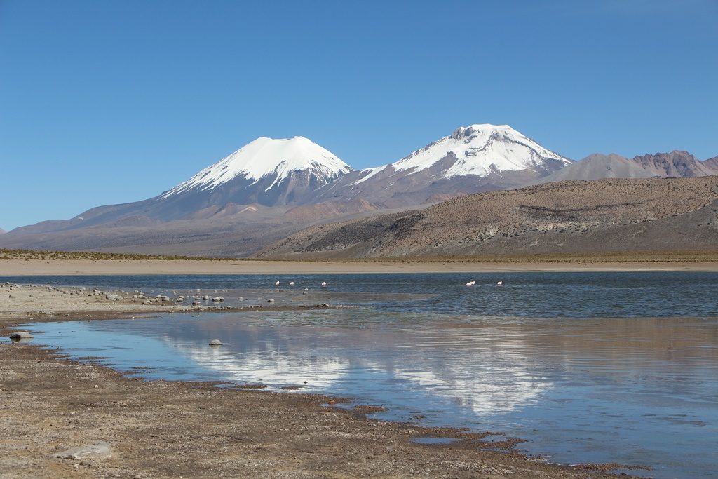 Sajama Nationalpark