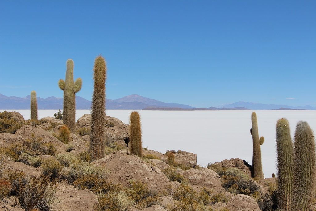 Salar de Uyuni