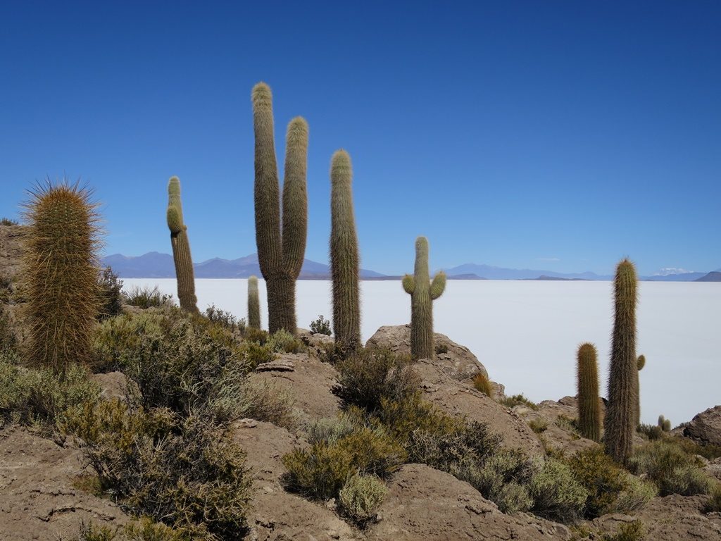 Salar de Uyuni