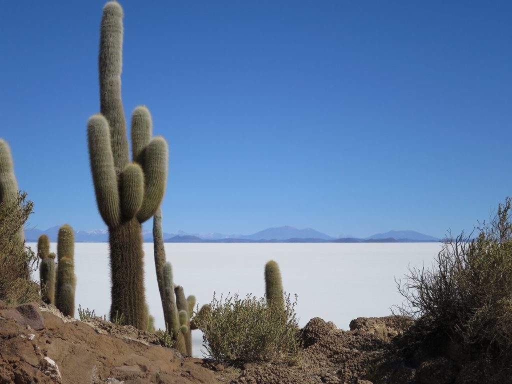 Salar de Uyuni