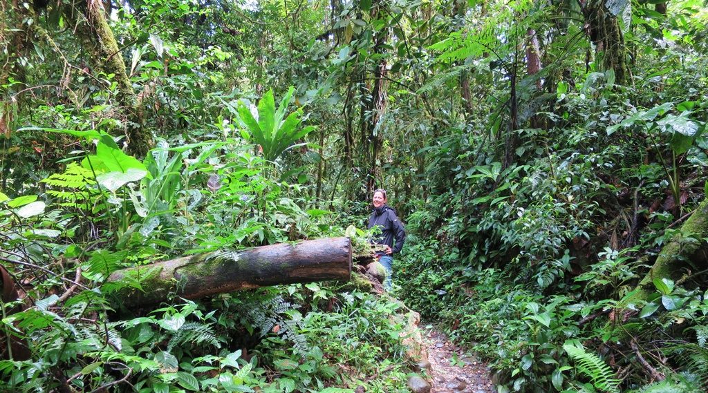 Ruta de las Cascadas nach Puyo