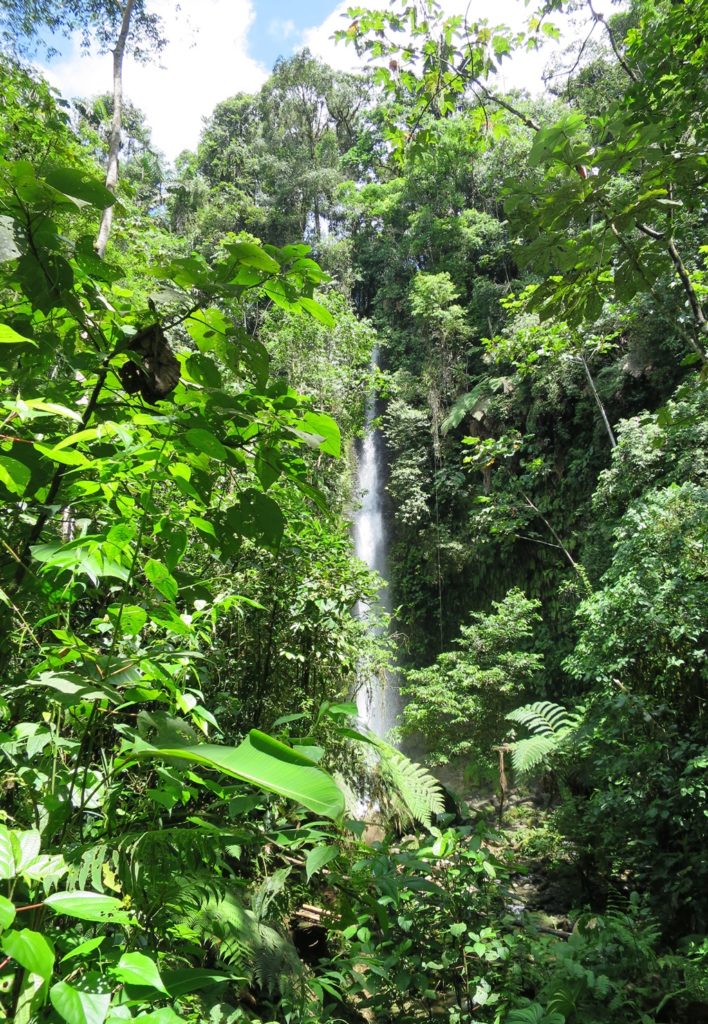 Ruta de las Cascadas nach Puyo