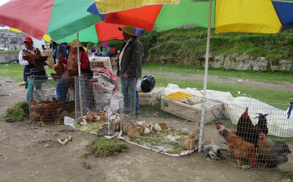 Markt in Otavalo