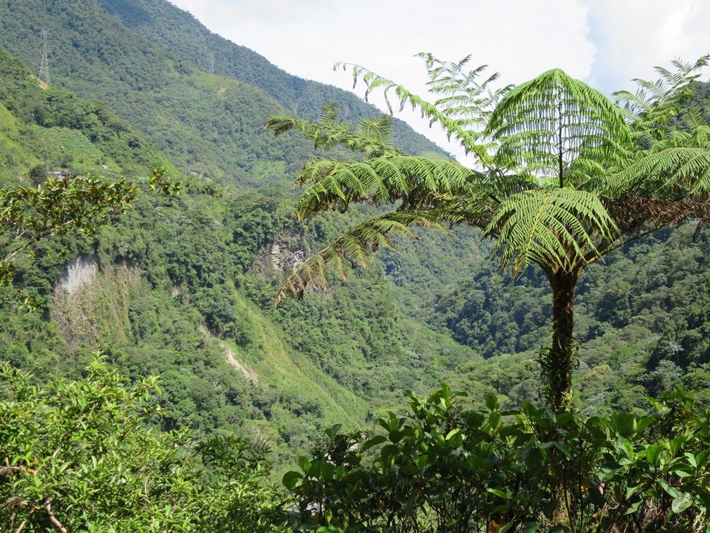 Ruta de las Cascadas nach Puyo