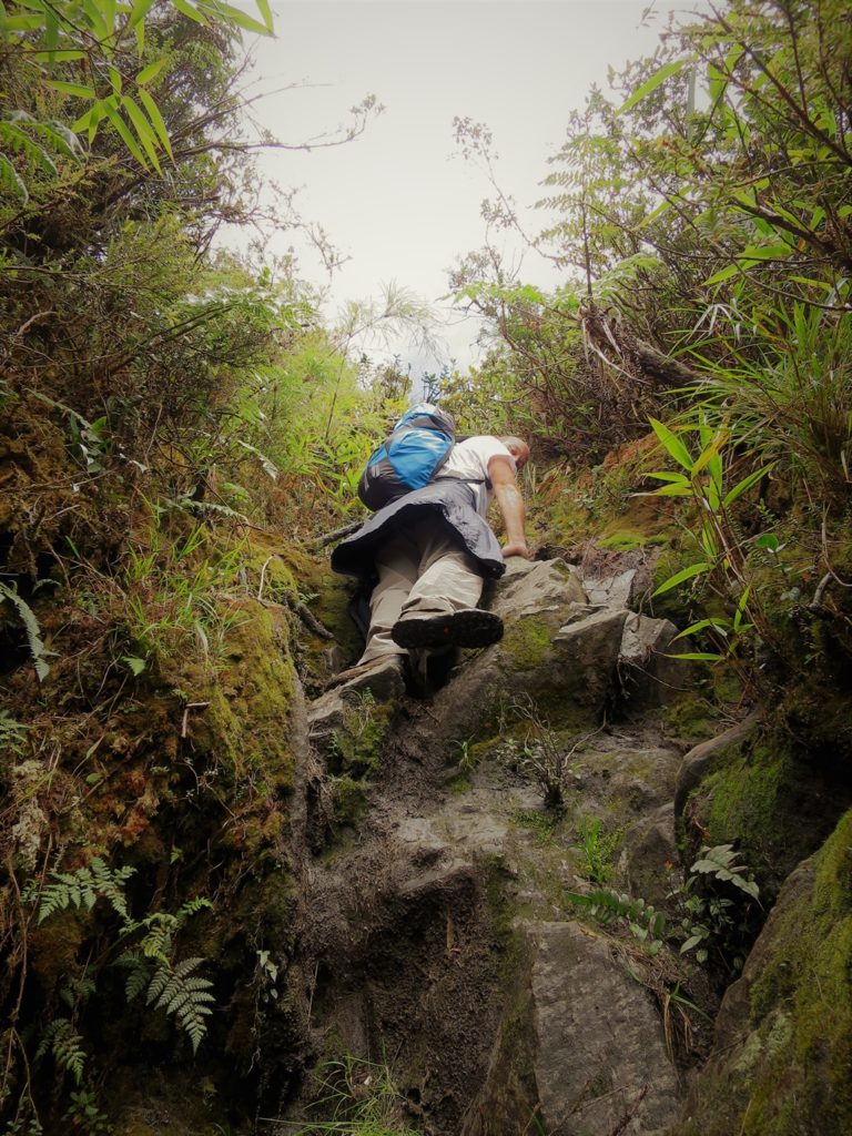 Kletterpartie im Podocarpus Natioanlpark