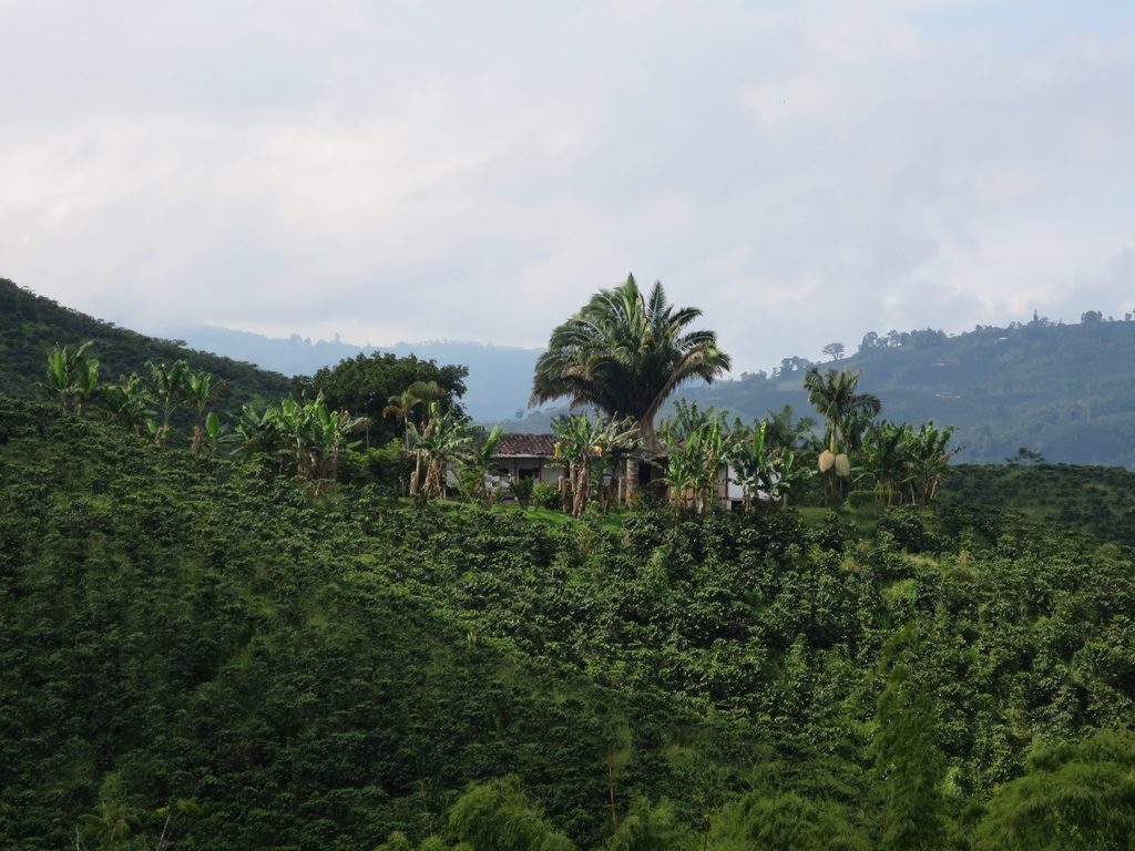 Manizales Kaffeeregion