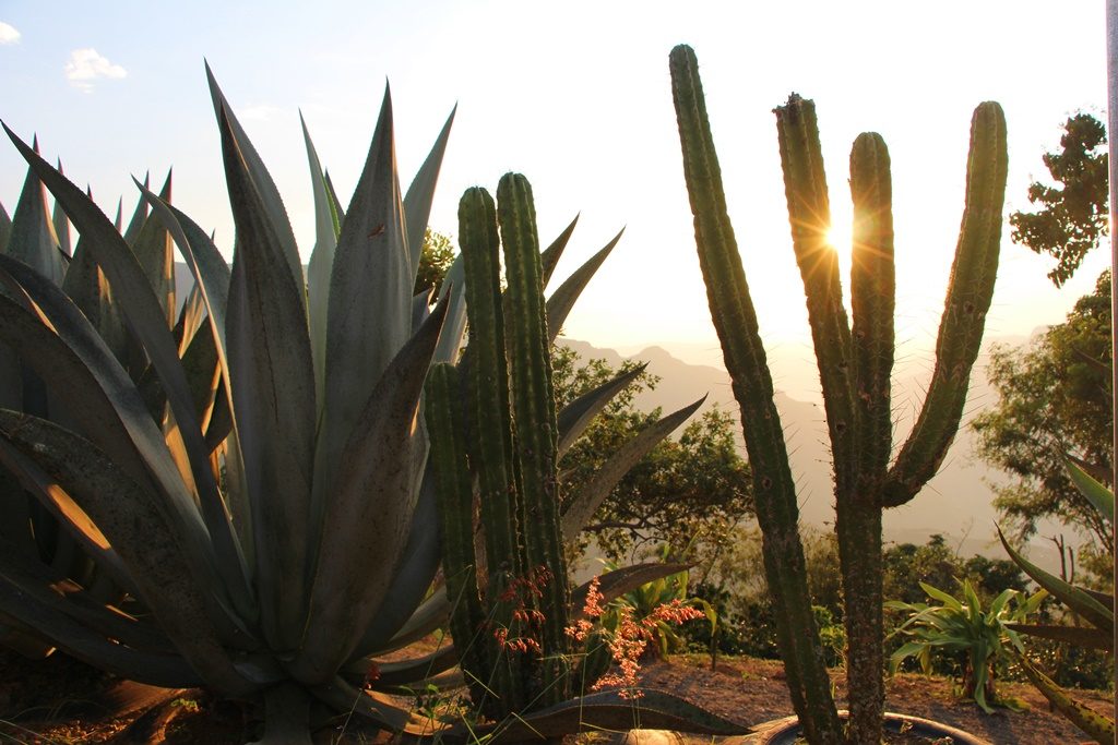 Chicamocha Canyon