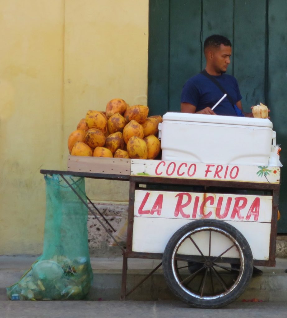 frische Kokosnüsse / Altstadt Cartagena